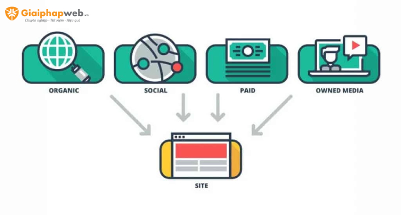 Cấu trúc website bao gồm những gì