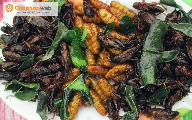 bán gì không đụng hàng bán gì không đụng hàng