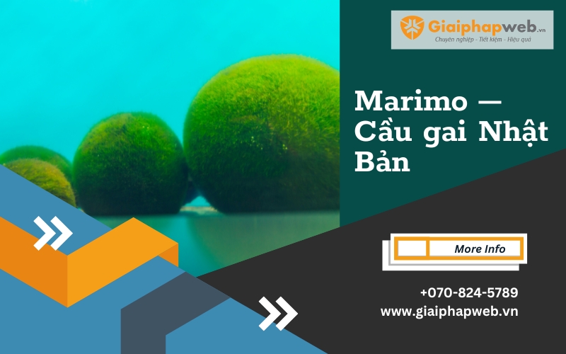 kinh doanh mặt hàng độc