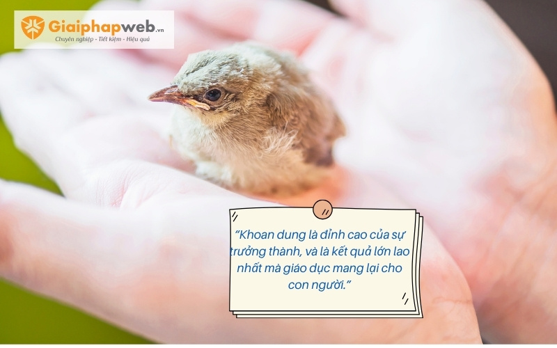 những câu nói hay về cái tâm của con người những câu nói hay về cái tâm của con người