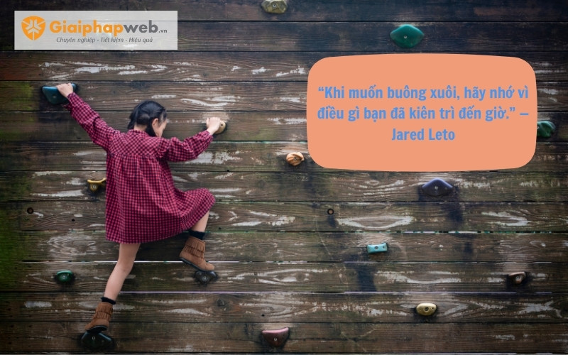 những câu nói hay về sự cố gắng những câu nói hay về sự cố gắng