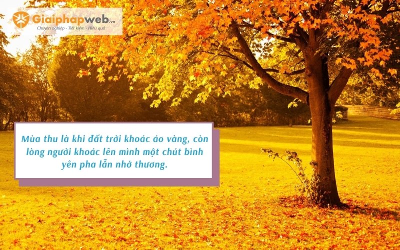 những câu nói hay về mùa thu