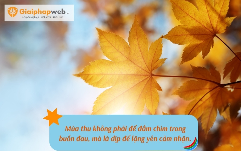 những câu nói hay về mùa thu