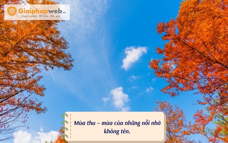 những câu nói hay về mùa thu