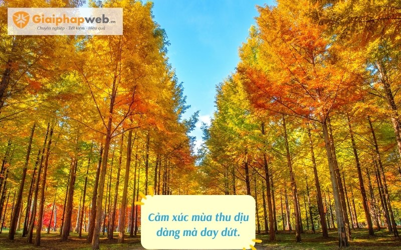 những câu nói hay về mùa thu