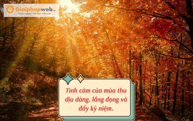 những câu nói hay về mùa thu
