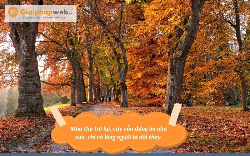những câu nói hay về mùa thu