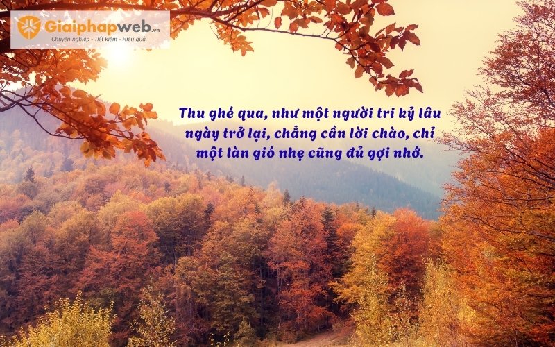 những câu nói hay về mùa thu