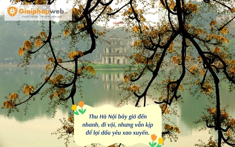 những câu nói hay về mùa thu