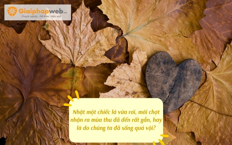 những câu nói hay về mùa thu