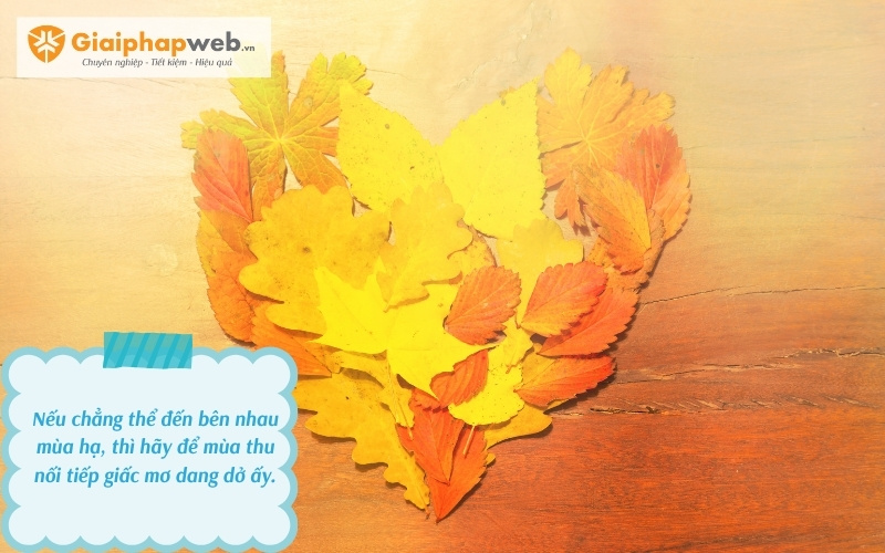 những câu nói hay về mùa thu