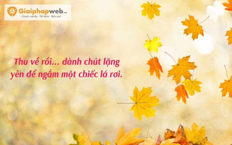 những câu nói hay về mùa thu