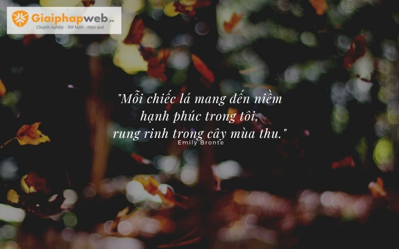 những câu nói hay về mùa thu