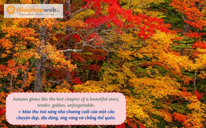 những câu nói hay về mùa thu