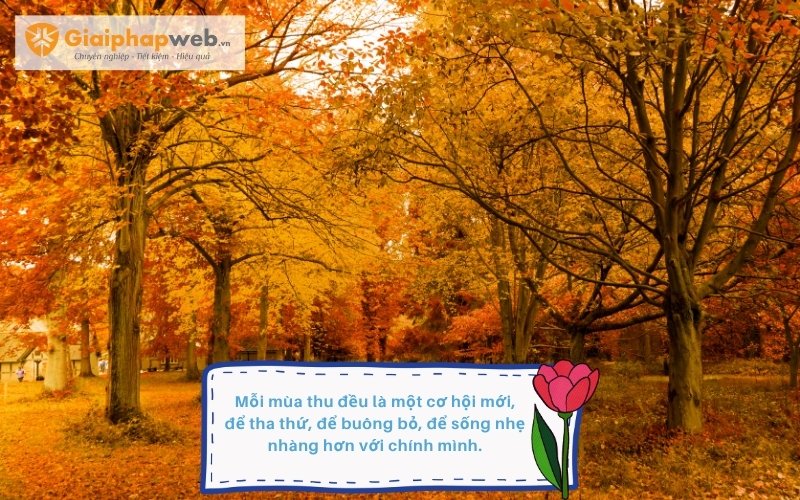 những câu nói hay về mùa thu
