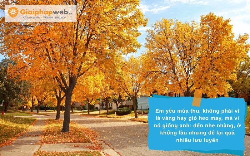 những câu nói hay về mùa thu