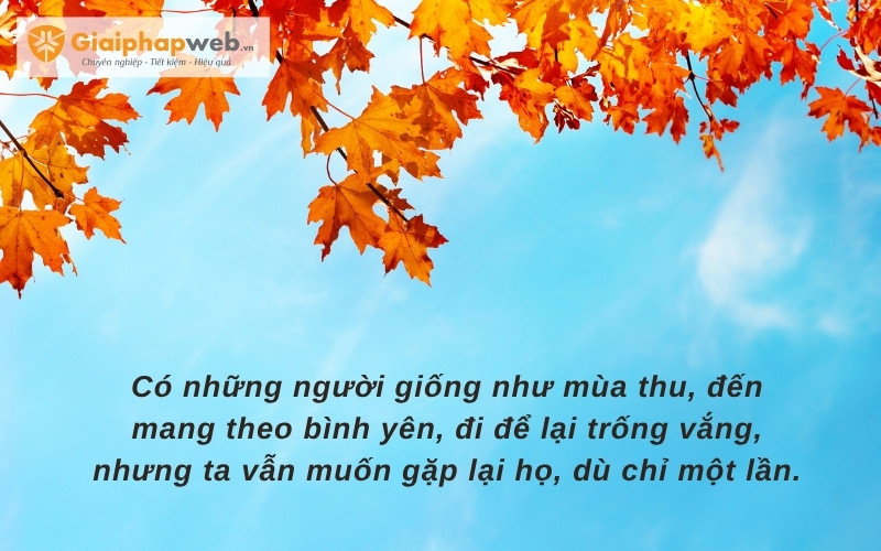 những câu nói hay về mùa thu