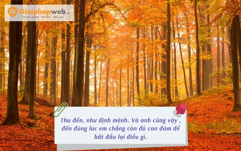 những câu nói hay về mùa thu