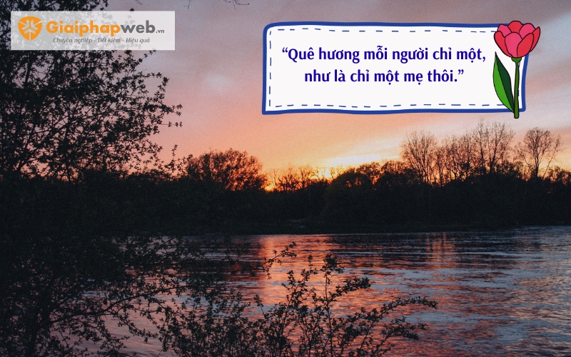 những câu nói hay về quê hương