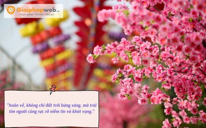 những câu nói hay nhất về Tết sum vầy