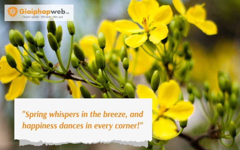 những câu nói hay nhất về Tết sum vầy