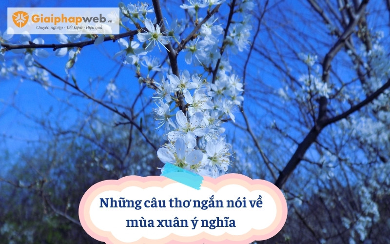 Những câu thơ ngắn nói về mùa xuân