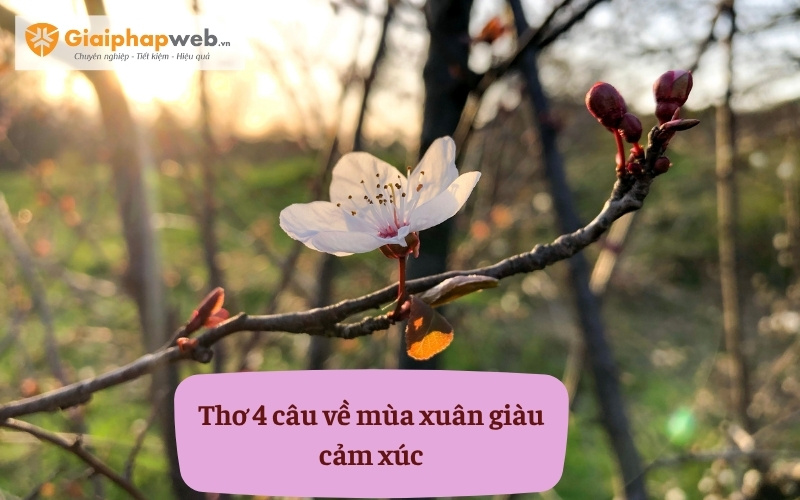 Những câu thơ ngắn nói về mùa xuân