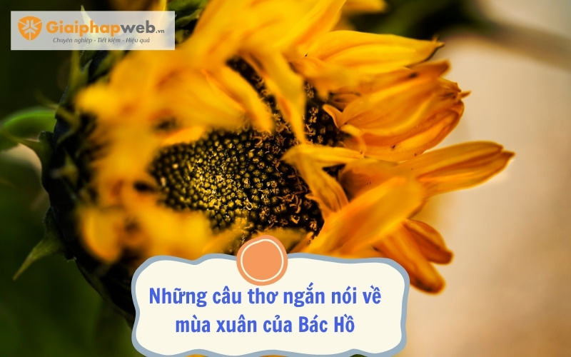 Những câu thơ ngắn nói về mùa xuân