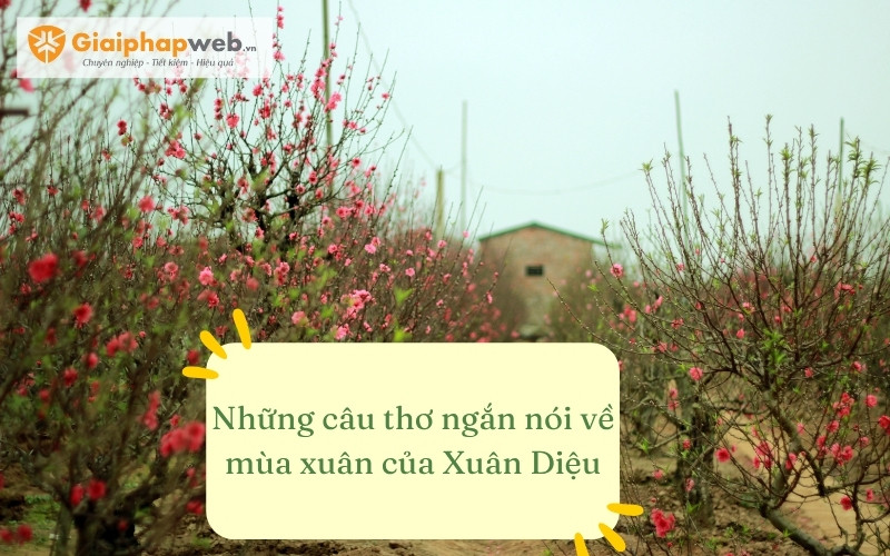 Những câu thơ ngắn nói về mùa xuân