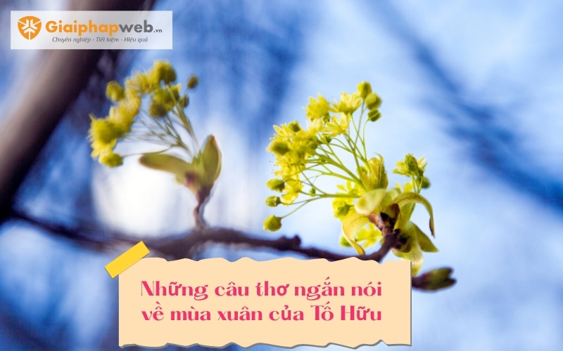 Những câu thơ ngắn nói về mùa xuân