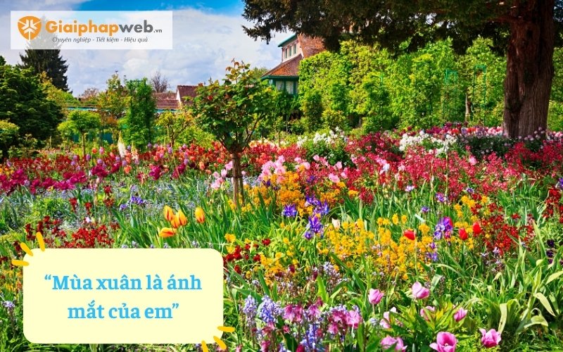 Những câu thơ ngắn nói về mùa xuân