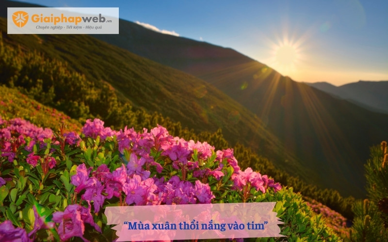 Những câu thơ ngắn nói về mùa xuân