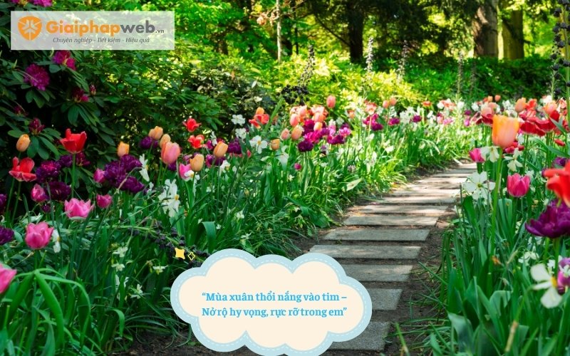 Những câu thơ ngắn nói về mùa xuân