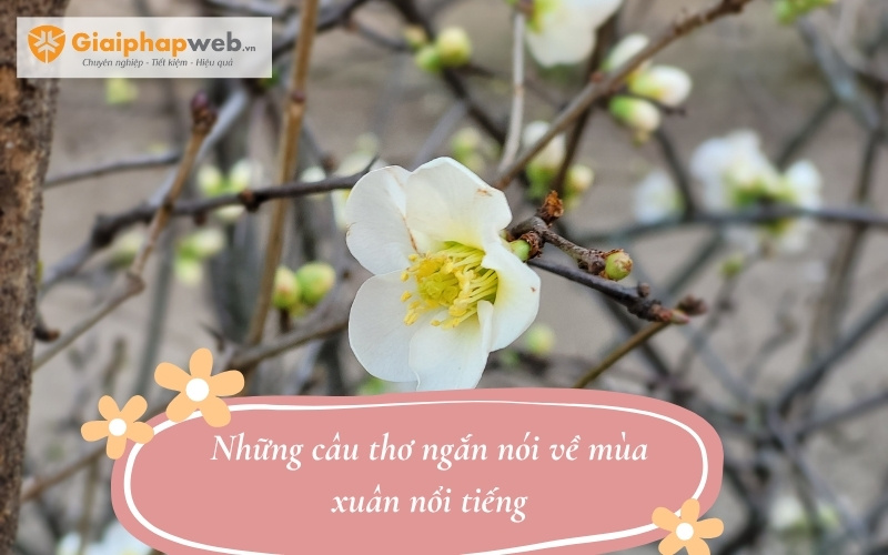 Những câu thơ ngắn nói về mùa xuân