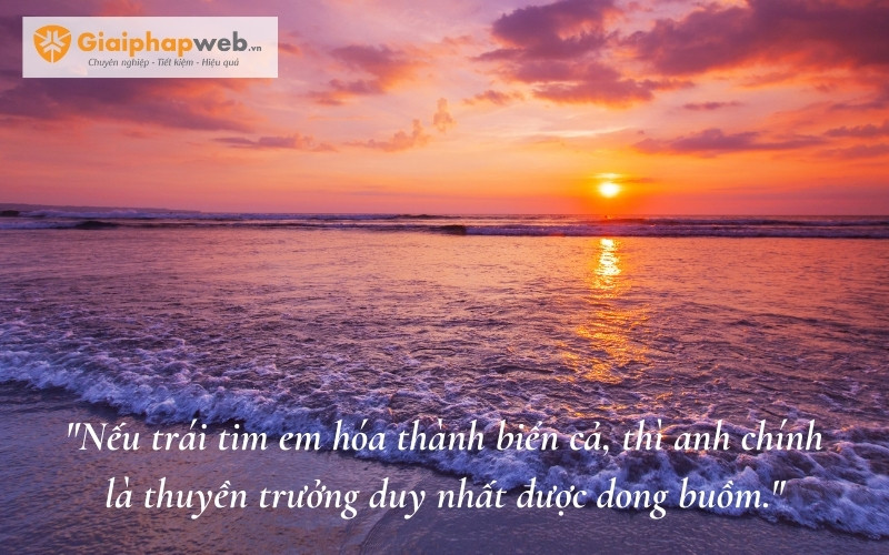 những câu nói hay về biển