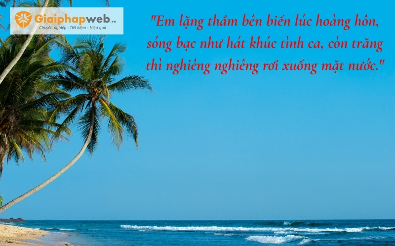 những câu nói hay về biển