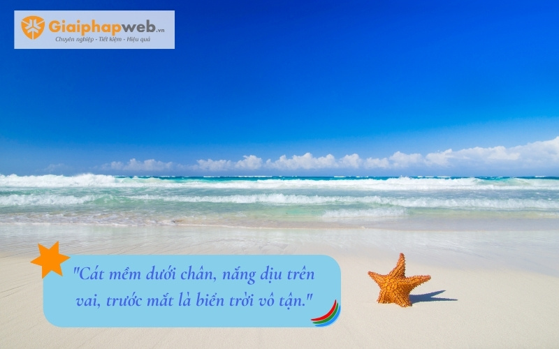 những câu nói hay về biển