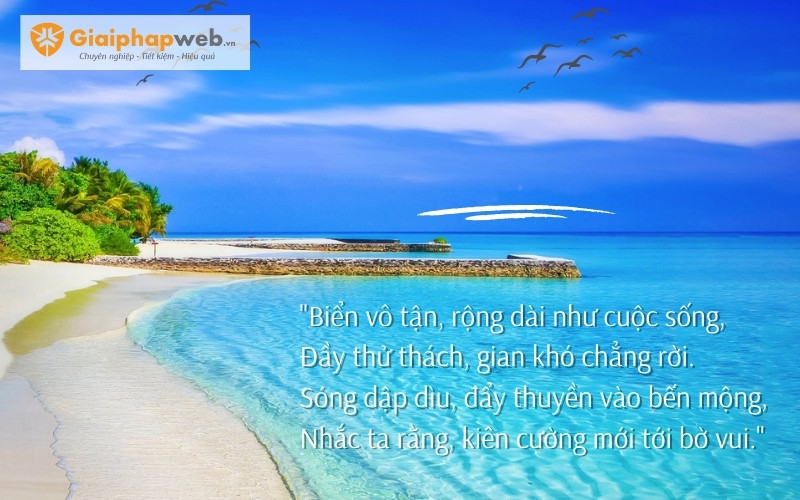 những câu nói hay về biển