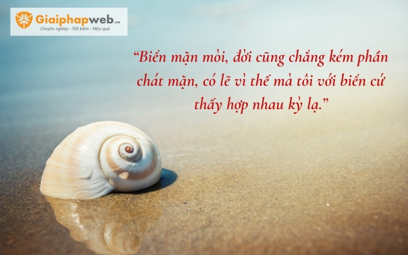những câu nói hay về biển