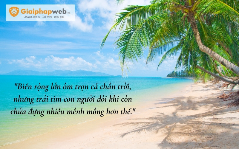những câu nói hay về biển