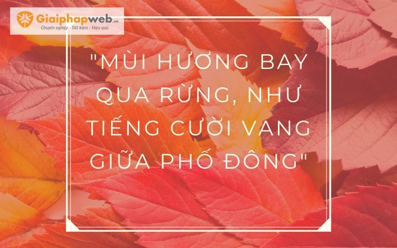 Những câu nói ngược hại não