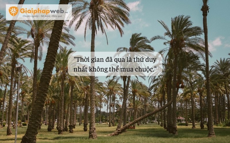 Những câu nói ngược hại não