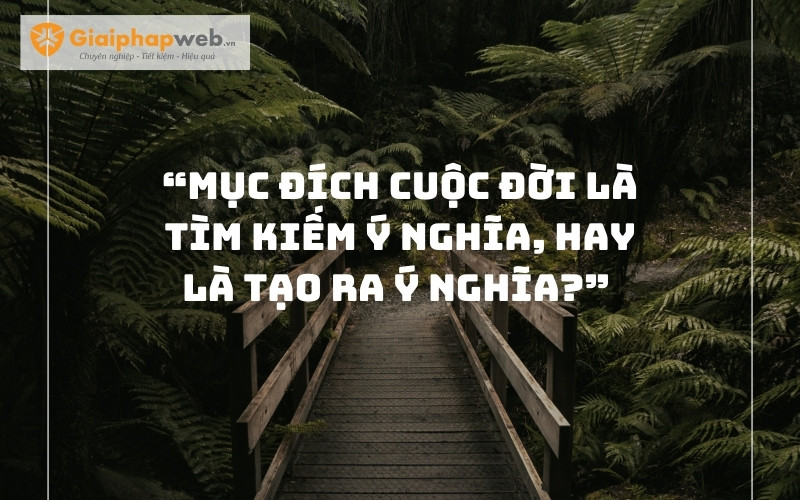 Những câu nói ngược hại não